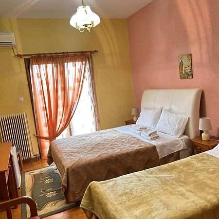 Hotel Aoos コニツァ エクステリア 写真